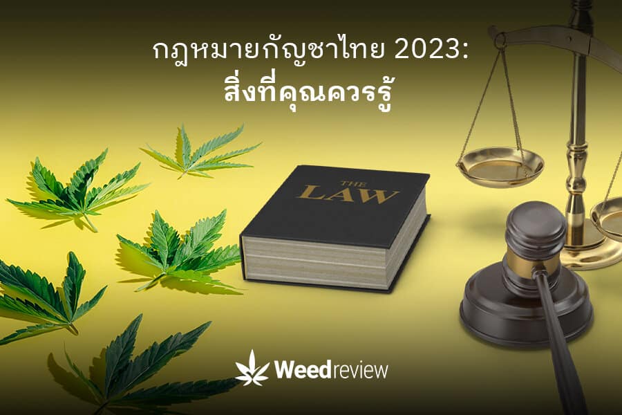 ภูมิทัศน์กฎหมายและกฎหมายกัญชาในประเทศไทย 2023