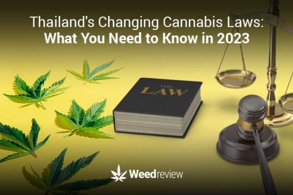 An explanation of the legal landscape and cannabis laws in Thailand 2023