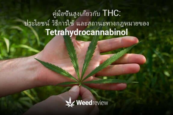 THC คืออะไร: ประโยชน์ การใช้งาน และกฎหมายเกี่ยวกับ Tetrahydrocannabinol