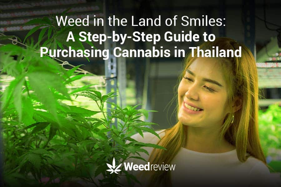 Buying legal marijuana in Thailand - all you need to know