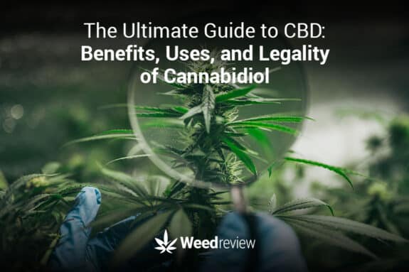 What is CBD - a beginner's guide to cannabidiol