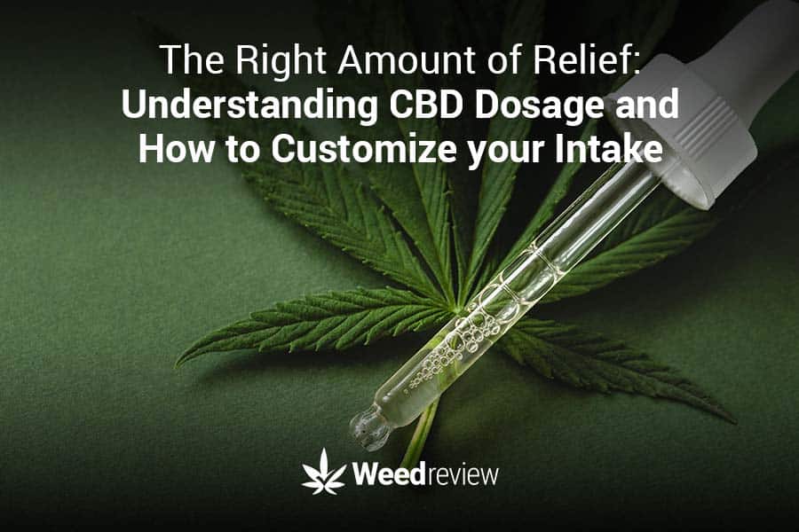 Explaining cannabidiol dosage - how much CBD to take