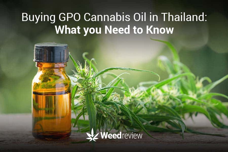 How to buy GPO-approved legal cannabis oil in Thailand