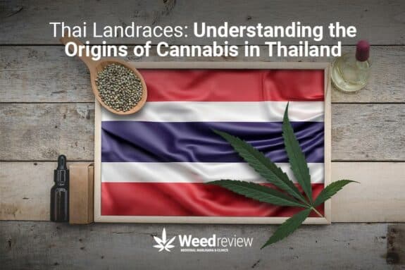 A look into Thai landrace strains, highlighting the origins of weed in Thailand.