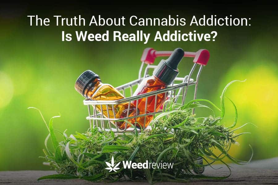 Understanding marijuana addiction - can weed be addictive?