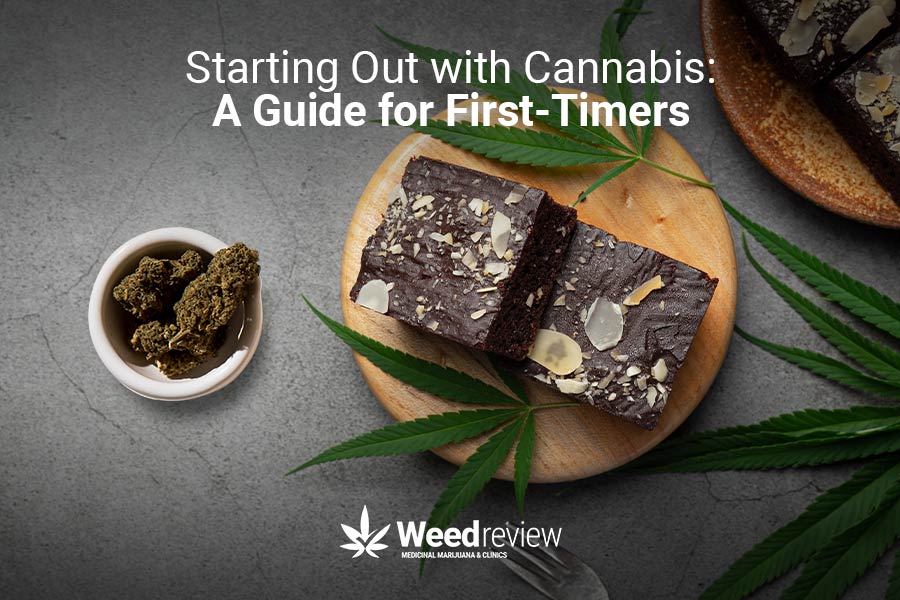 A beginner's guide to cannabis