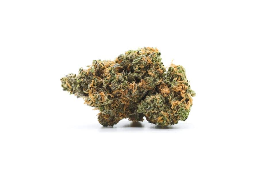 Big bud cannabis flower