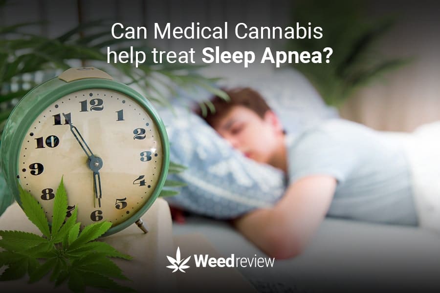 Cannabis leaf next to a person diagnosed with sleep apnea.