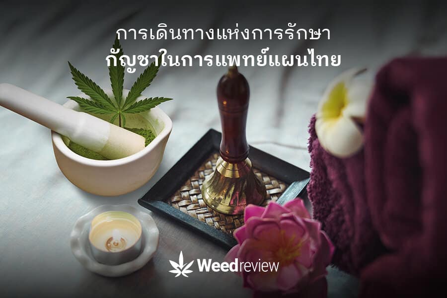 cannabis-and-thai-traditional-medicine