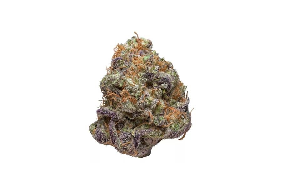 Purple Kush cannabis flower