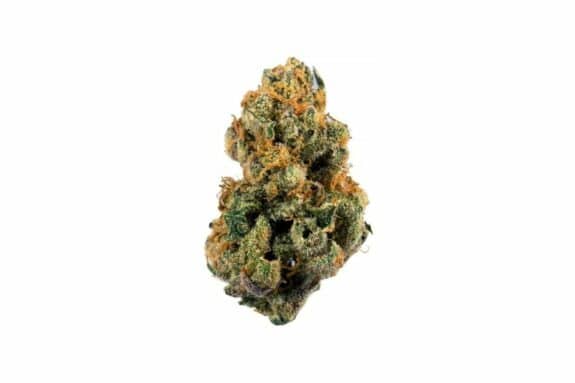 9 pound hammer bud