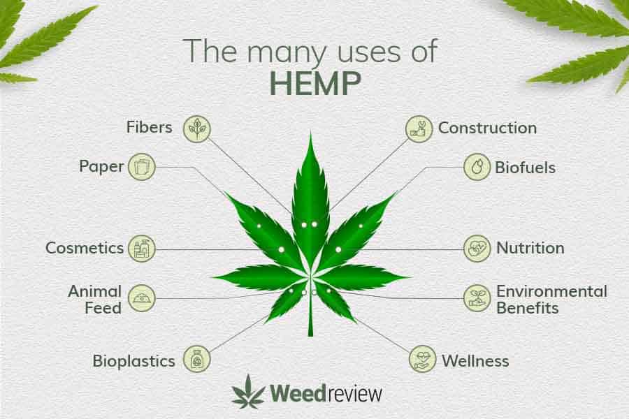 fibers, paper, bioplastics, animal feed, nutrition - hemp has numerous uses.