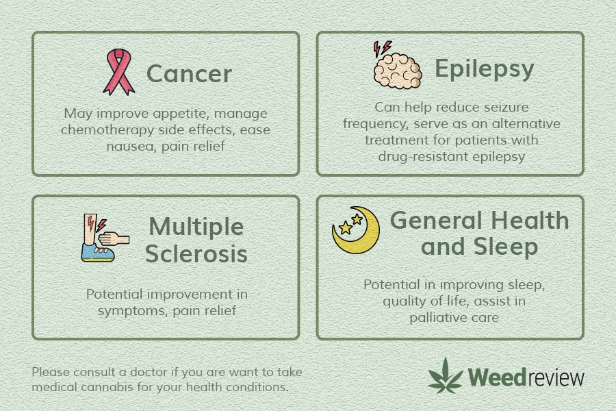 Cancer, epilepsy, multiple sclerosis, palliative care assist and sleep are some research avenues around cannabis in Thailand.