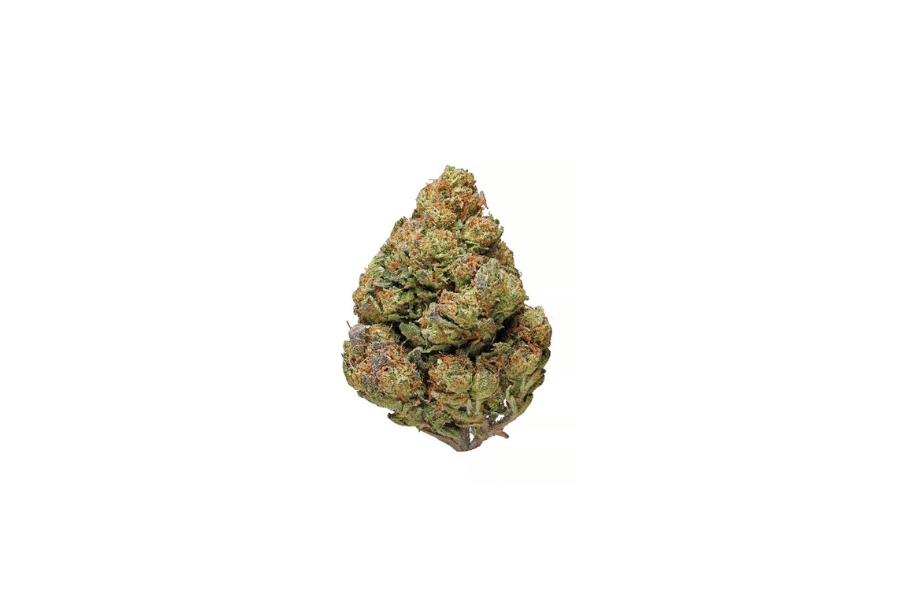 Cheese marijuana flower