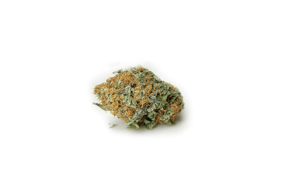 G 13 marijuana strain indica dominant variety