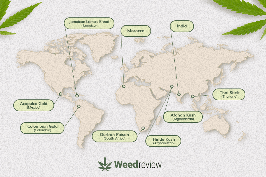 A world map depicting different countries where landrance cannabis strains have originated.