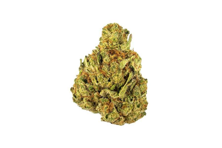 Georgia Pie marijuana flower