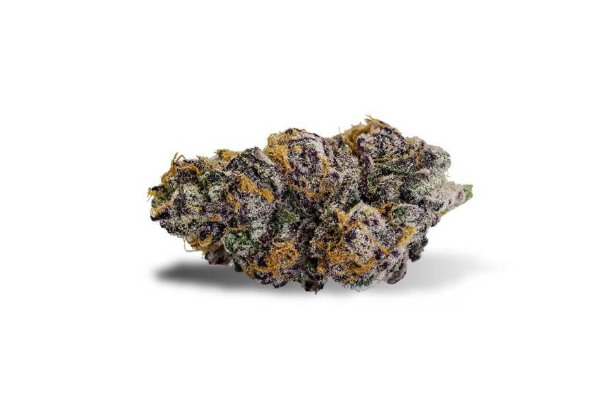 Purple Punch marijuana flower