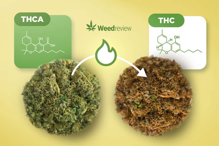 A before and after image of decarbed cannabis