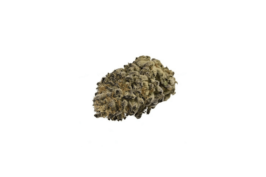 dolato marijuana strain bud
