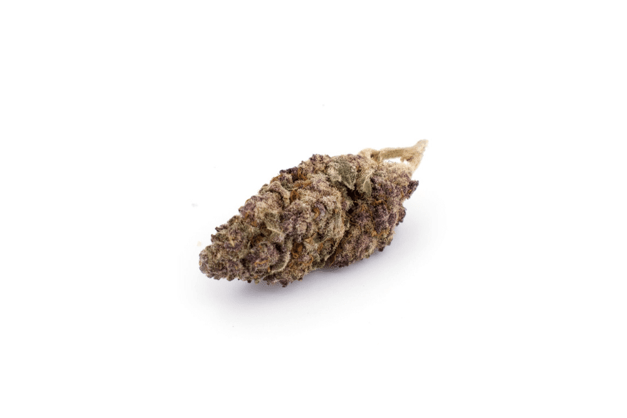 Purple Sunset marijuana flower