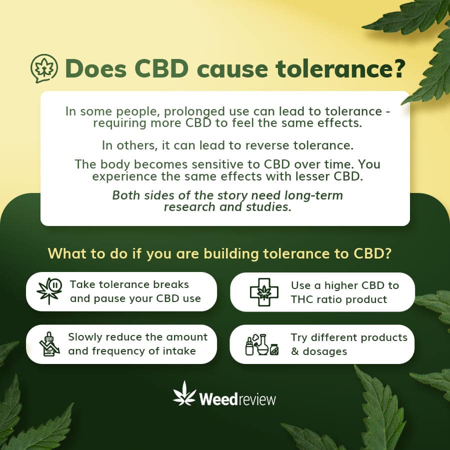 An image showing the main attributes of CBD tolerance.