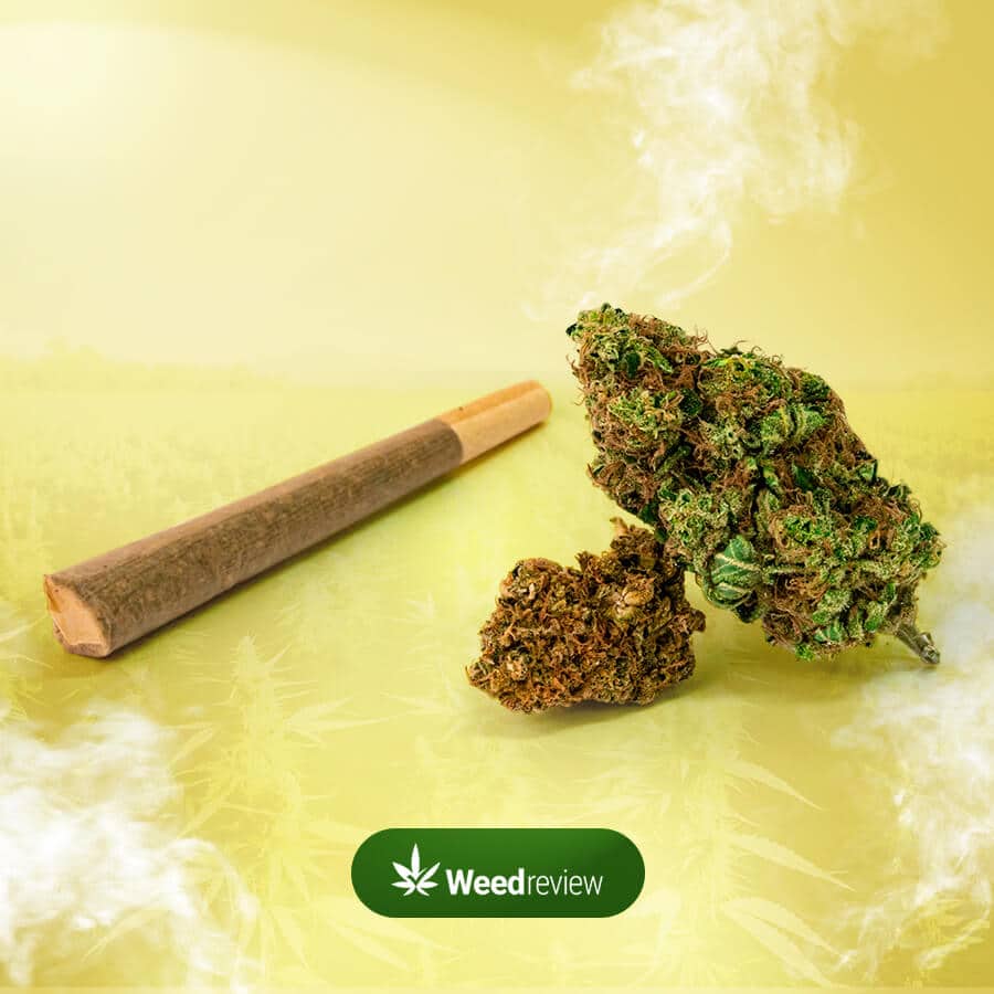 An image showing cannabis cigarette