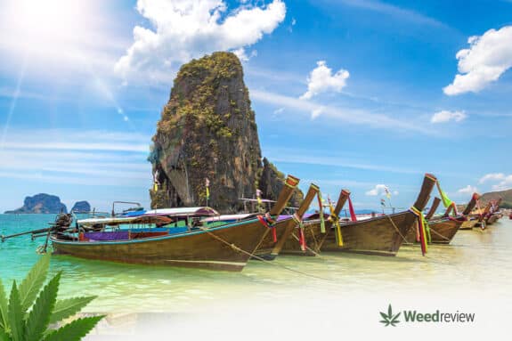 List of cannabis stores in Phuket