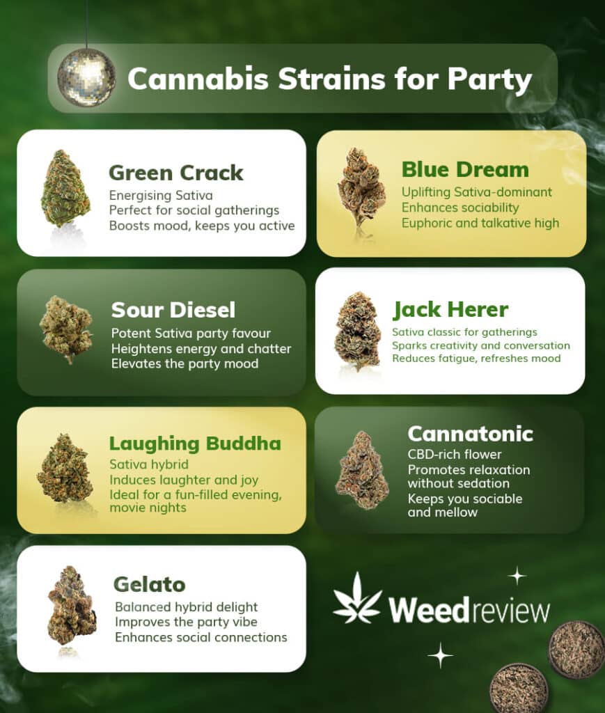 A list of cannabis strains to try if you want to party or socialise or are having a night out.