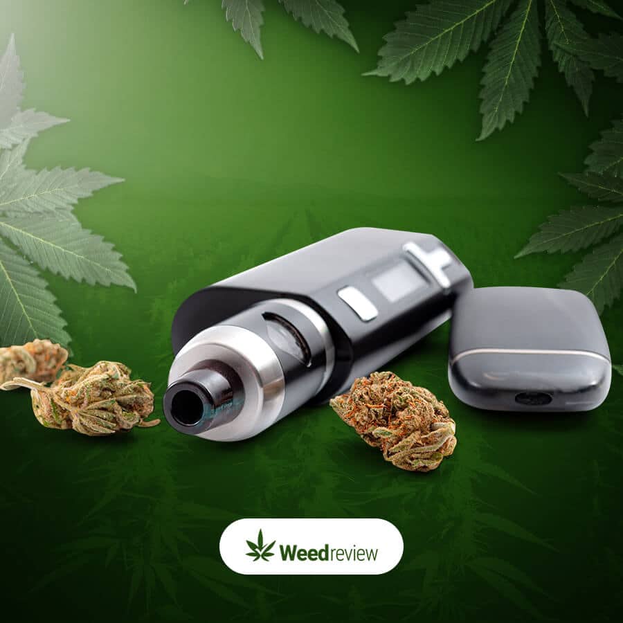 Vaporisers involve heating buds at high temperature to release cannabinoids and terpenes vapour.