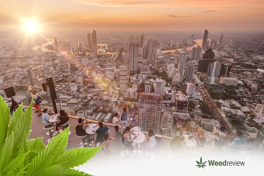 List of leading cannabis shops in Bangkok.