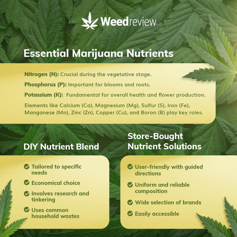 An infographic depicting common nutrients needed by marijuana plants.