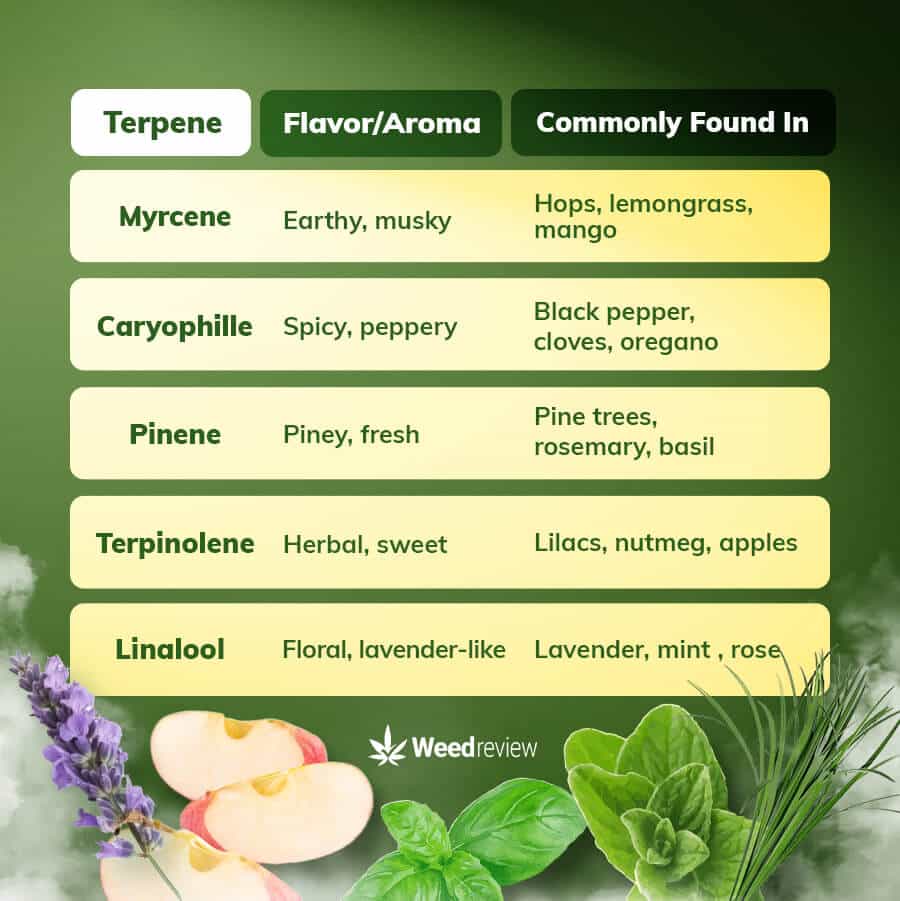 A list of terpenes that promote sleep.