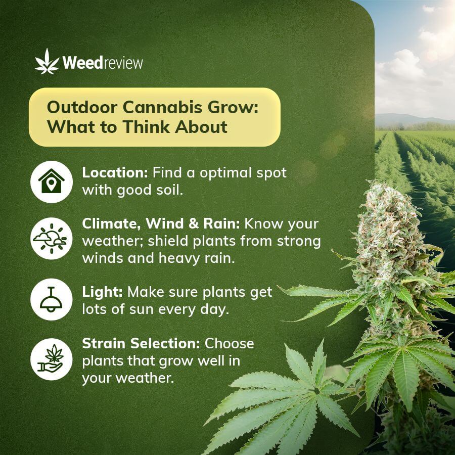 An image depicting different factors like location, climate, weather, and light for outdoor marijuana grow.