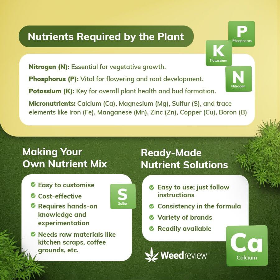 An infographic depicting the nutrients needed by marijuana plants.