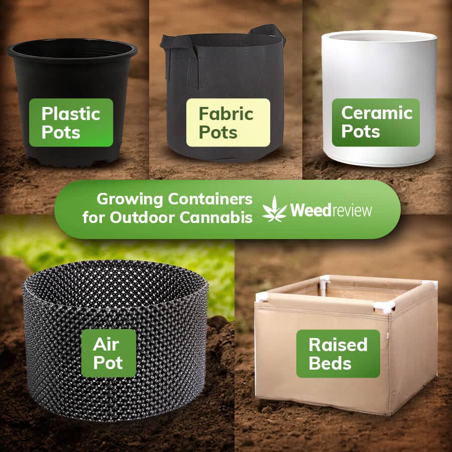 An image of commonly available growing containers.