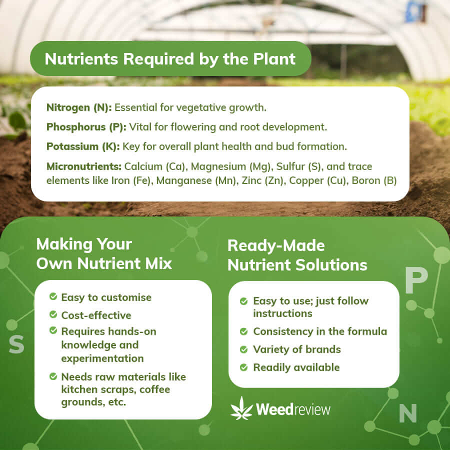 A list of nutrients required by cannabis plants.