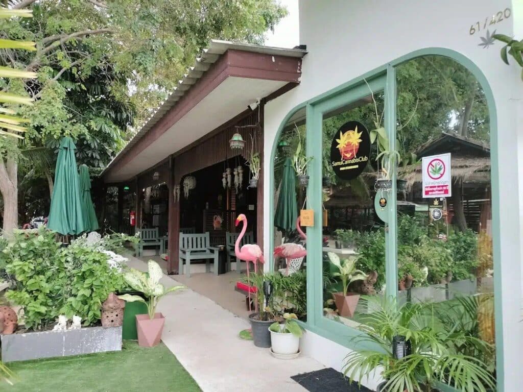 ร้านขายยากัญชาที่ดีที่สุดในเกาะสมุย - Samui Cannabis Club