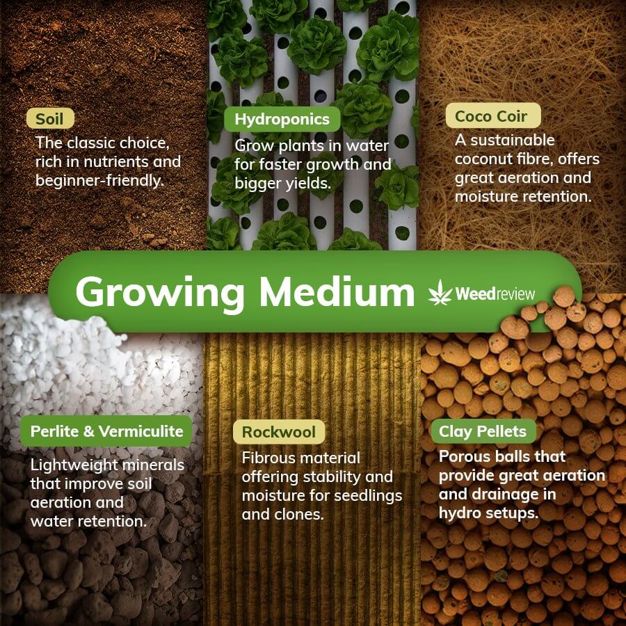 An infographic showing the six soil types available to cannabis growers.