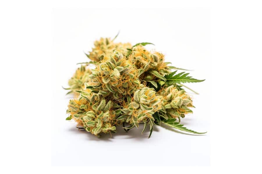 24k Gold marijuana flower