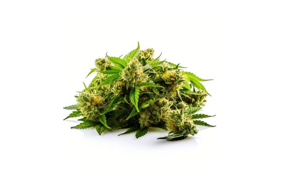 Khalifa Kush marijuana flower