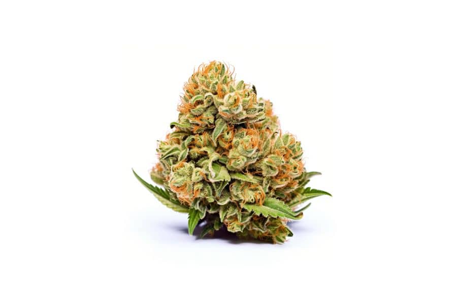LA Kush marijuana flower