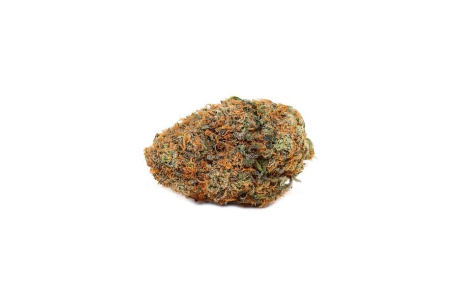Mac N Cheese marijuana flower