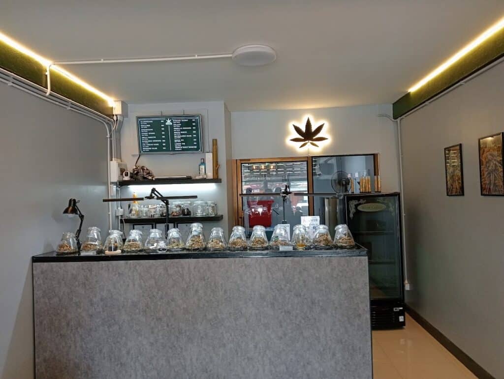 An image of the interiors of Shiva Cannabis dispensary in Hua Hin.