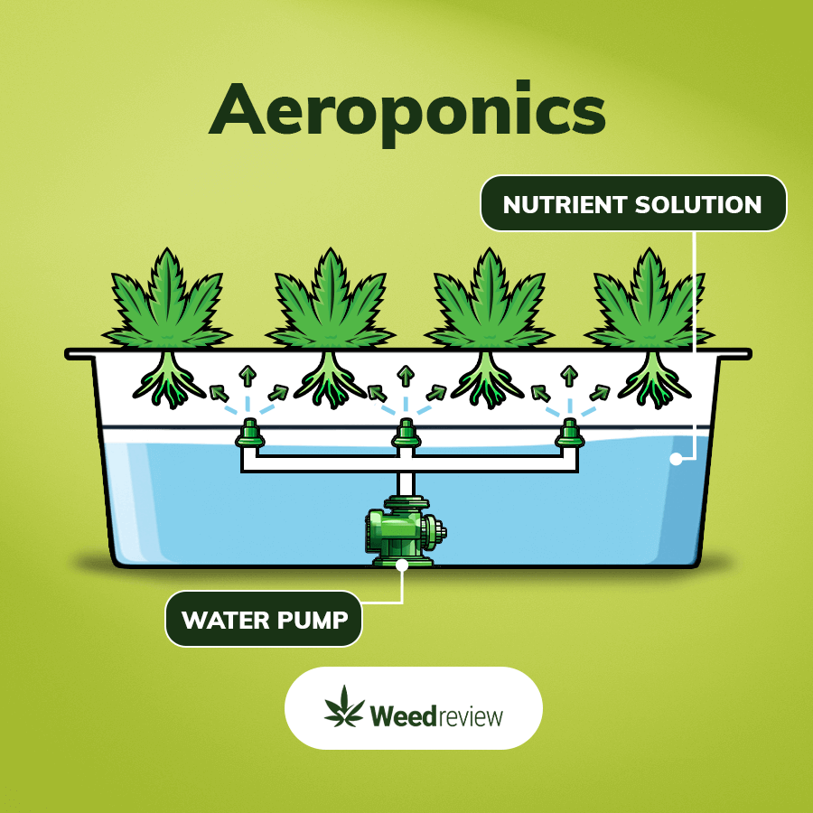 A simple diagram of aeroponic hydro set up