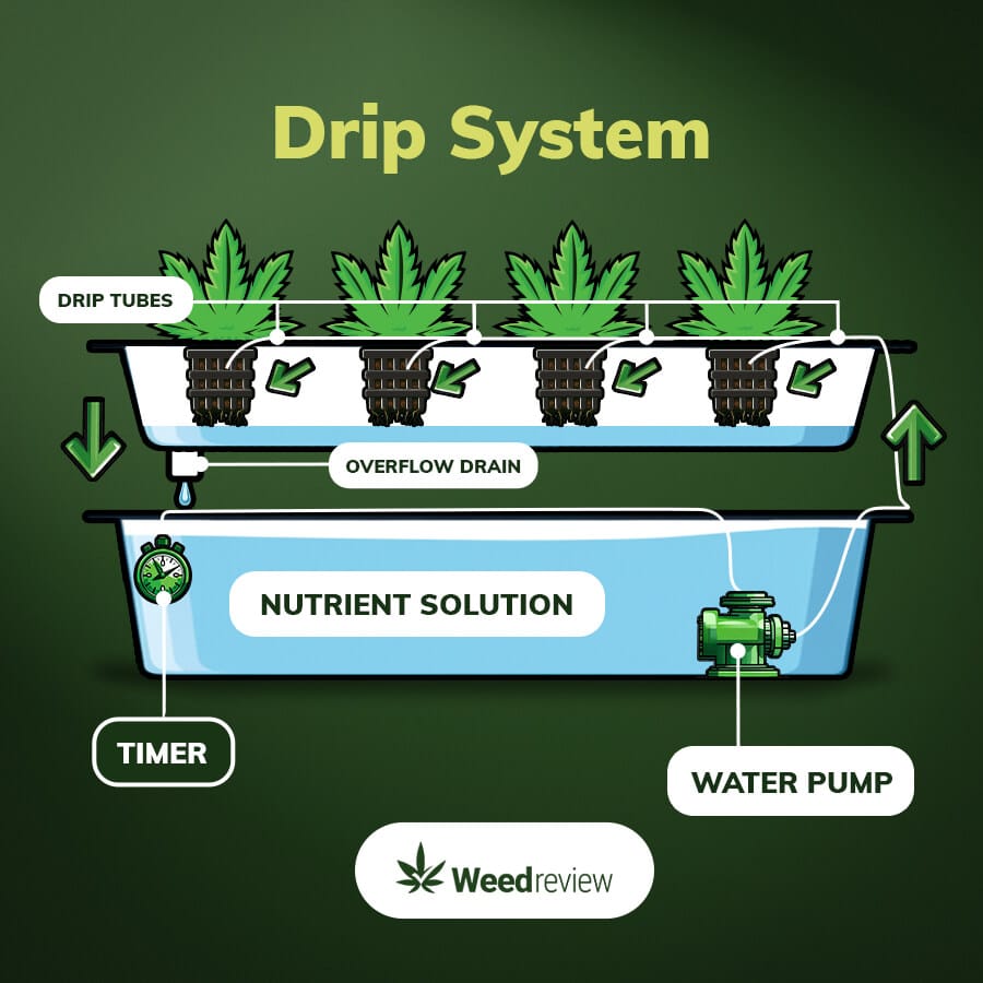A diagram of drip hydro system