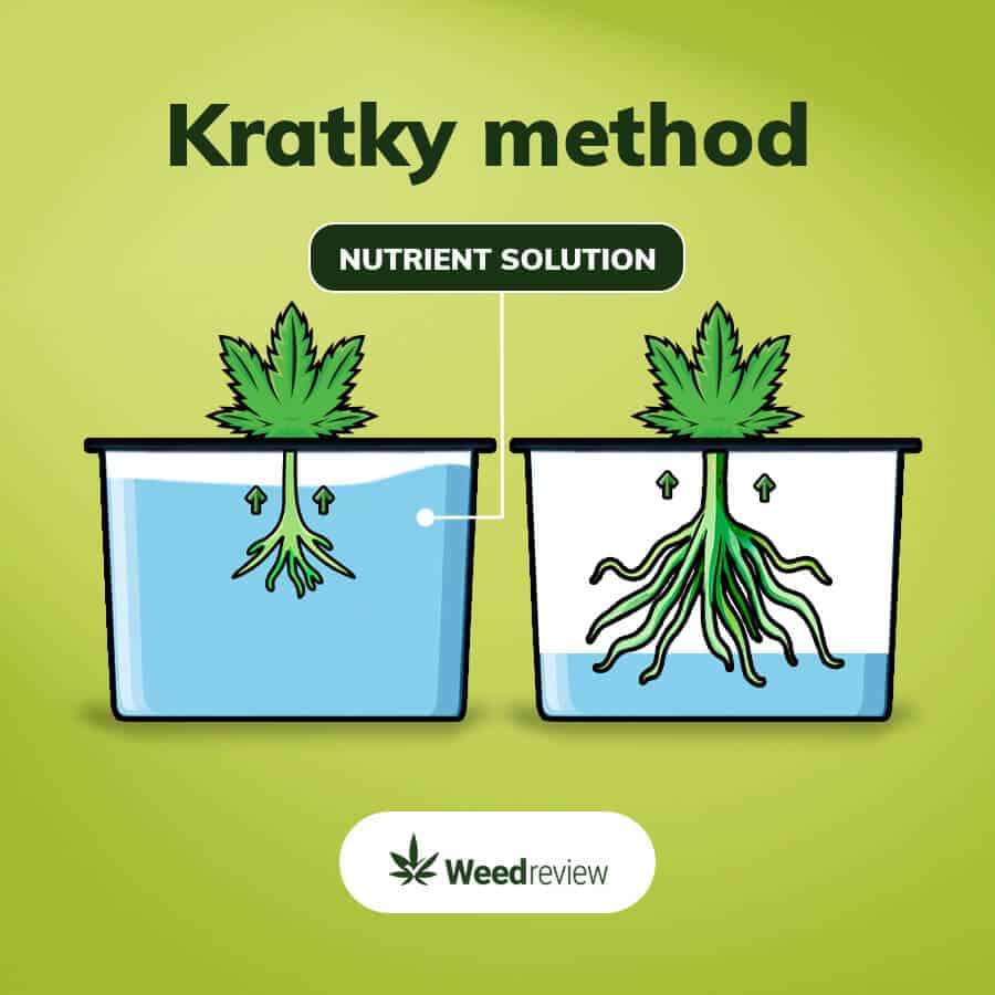 An infographic of kratky hydro system.