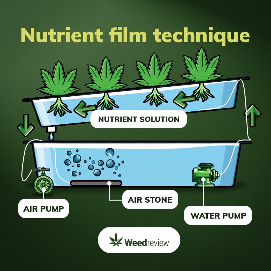 An infographic of nutrient film technique hydroponic system.