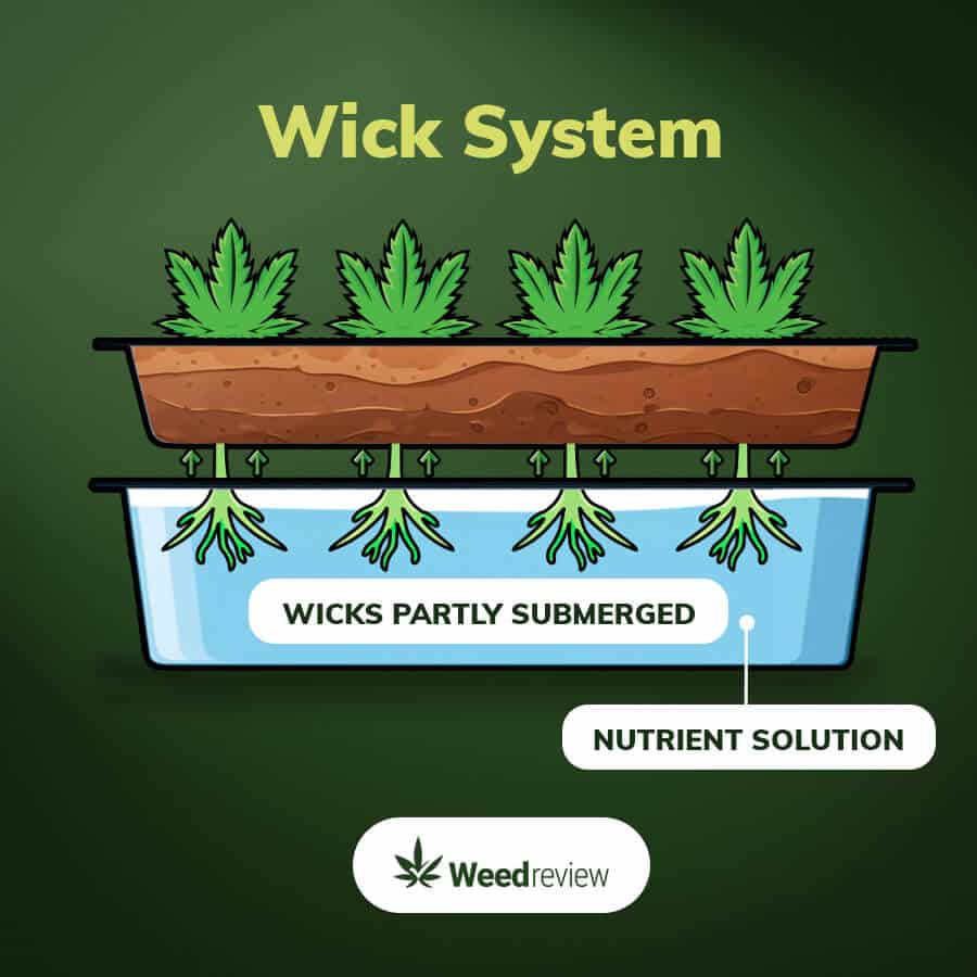 An infographic of wick hydroponic system.