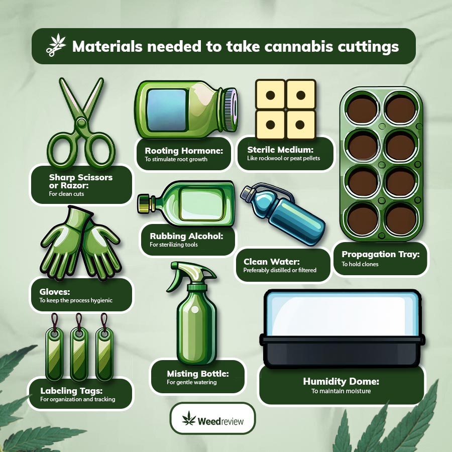 An image of equipment needed to take cuttings for cannabis clones.